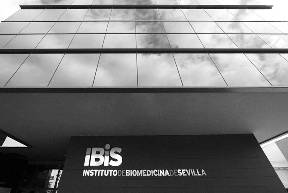 IBIS - Instituto de Biomedicina de Sevilla